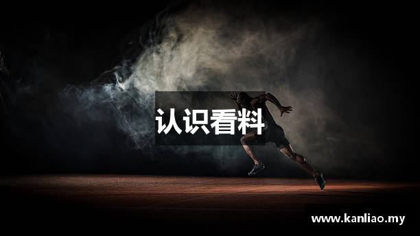 认识看料